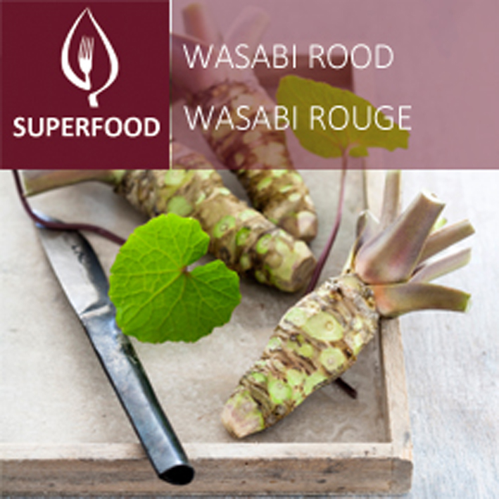 Wasabi - rouge