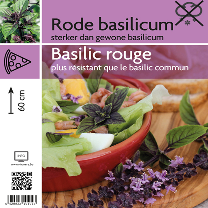 Rode basilicum (stek)