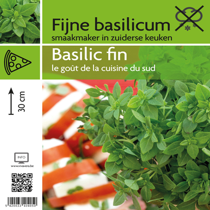 Basilic fin