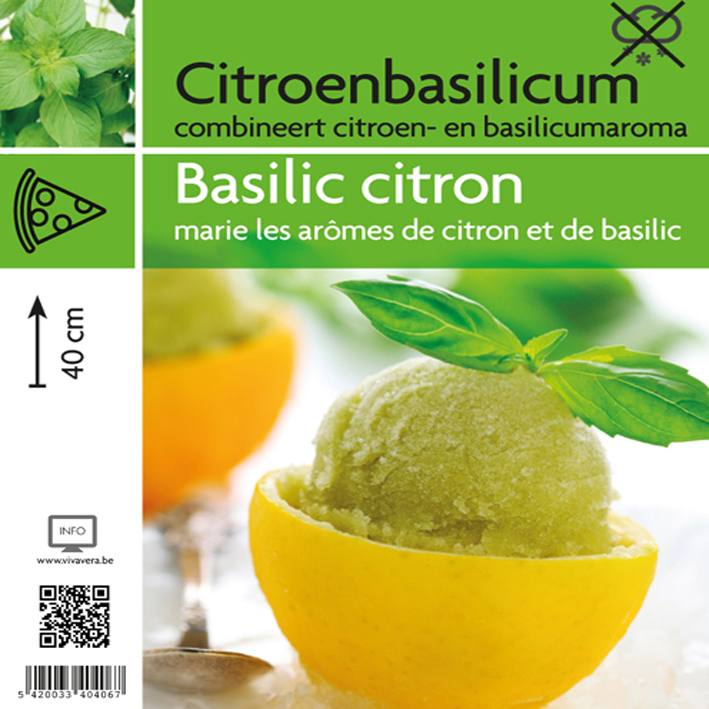 Basilic citron