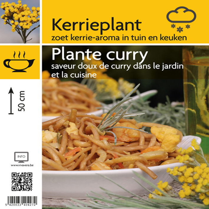 Plante curry