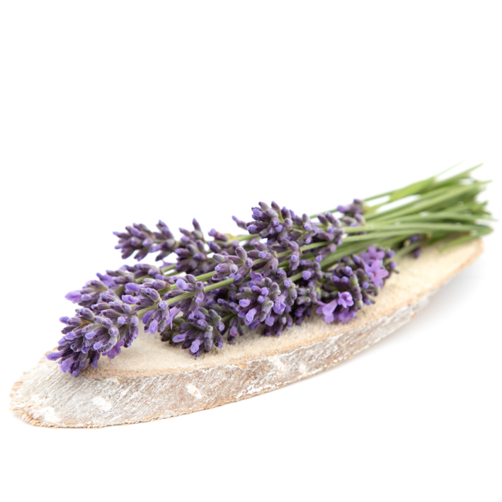 Lavendel 