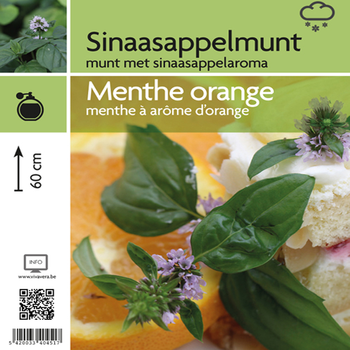 Menthe orange