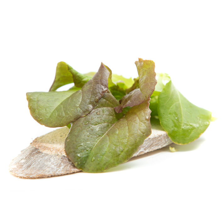 Pluksla babyleaf-Mesclun