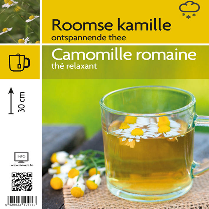 Roomse kamille