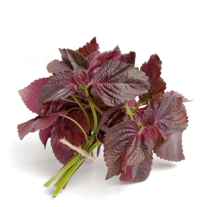 Shiso rood