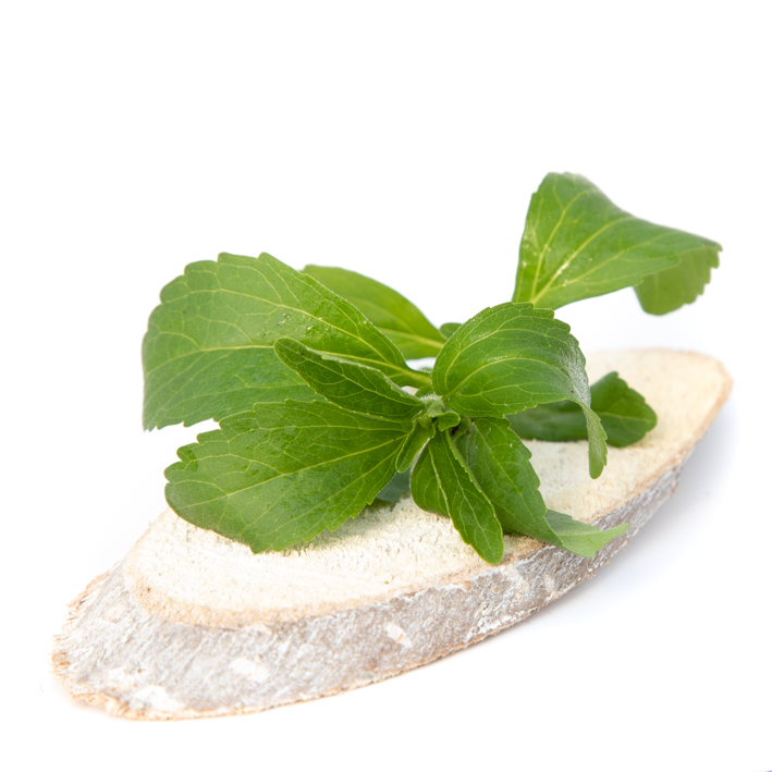 Stevia suikerplantje