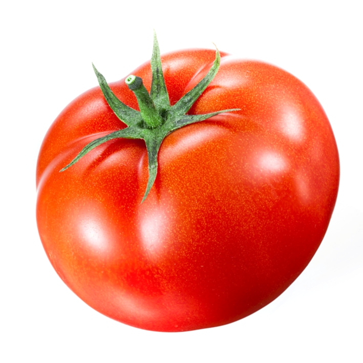 Tomate greffée Fantasio F1