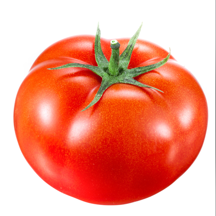 Tomate greffée Maestria