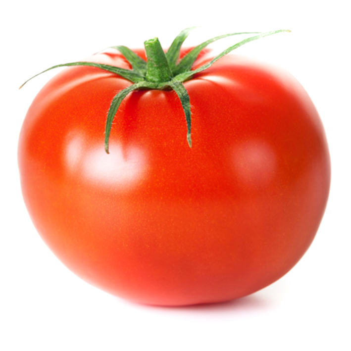 Tomate greffée Matias
