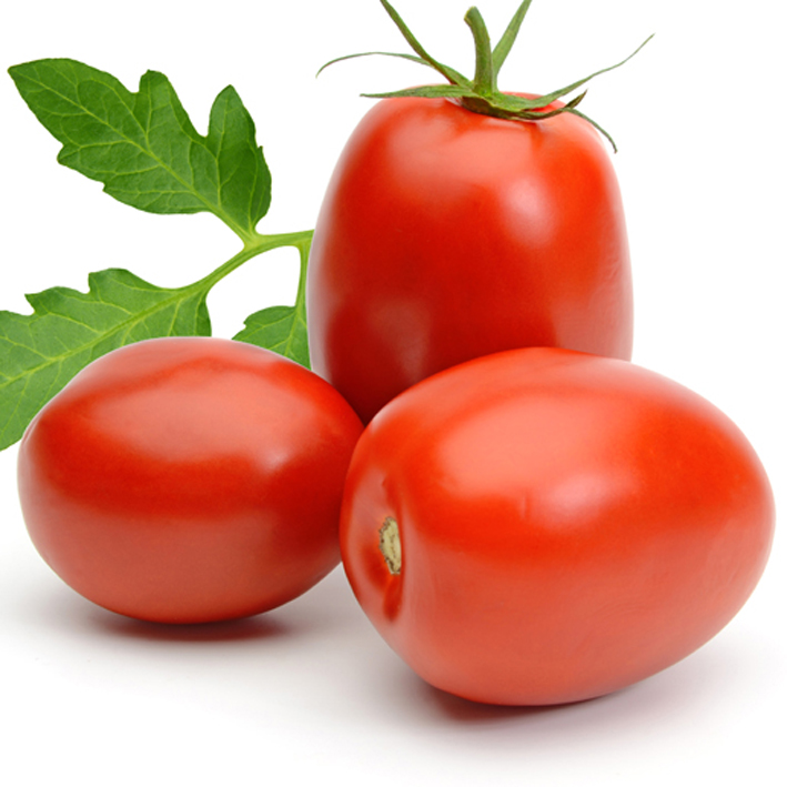 Tomate greffée Roma