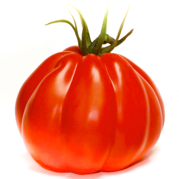 Tomate greffée .d.boeuf CORAZON F1