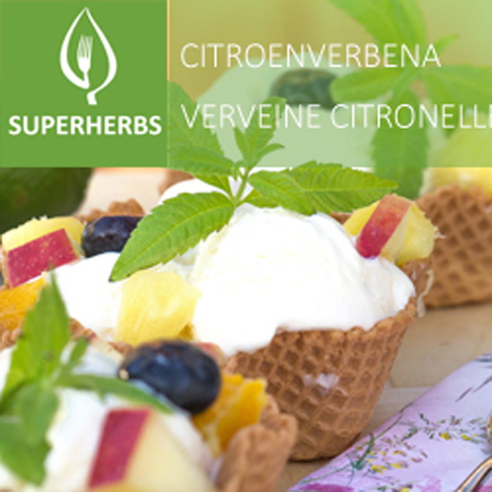 Citroenverbena