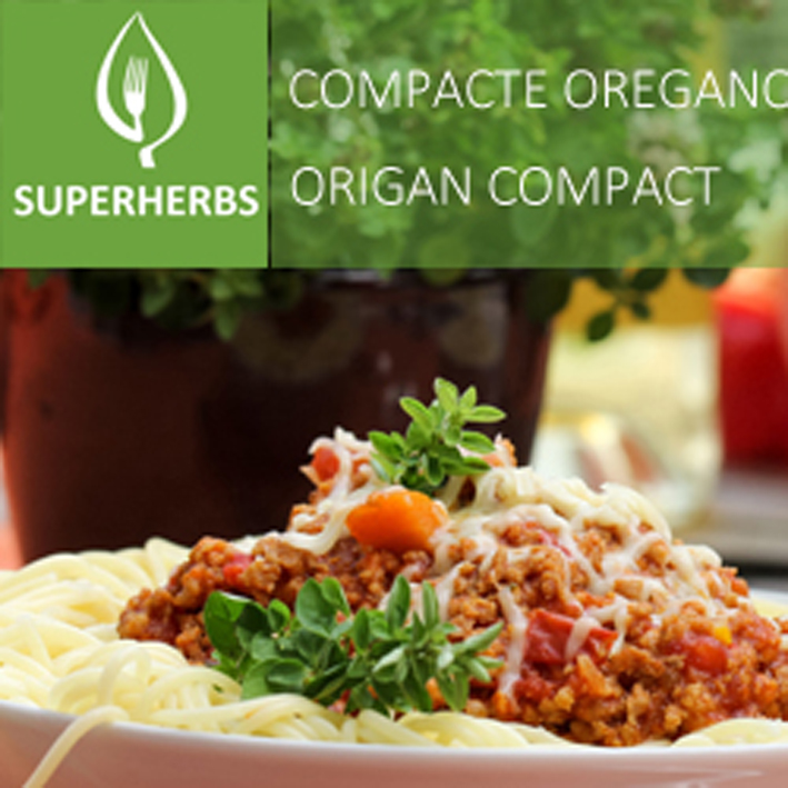 compacte oregano