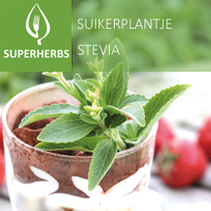 Stevia