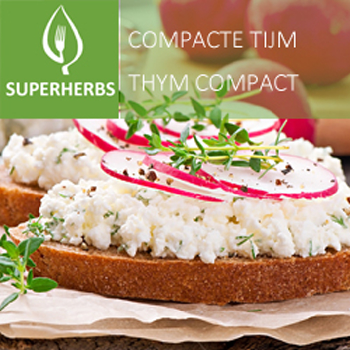 Thym compact