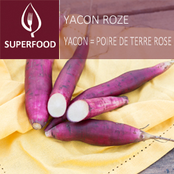 Yacon = poire de terre rose